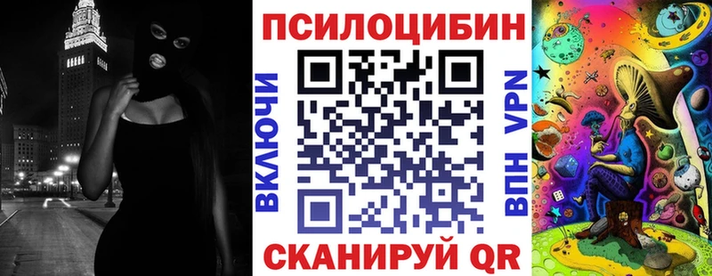 omg как зайти Гвардейск Галлюциногенные грибы Cubensis